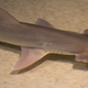 How does it feel to need no one? Image: Tony Hisgett/Wikimedia Commons